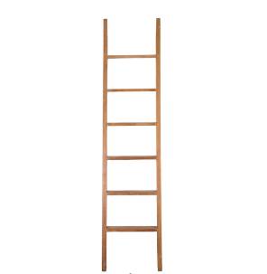 20th Century Library Ladder